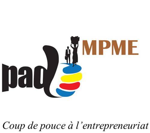 Le Projet d'appui au développement des micros, petites et moyennes entreprises